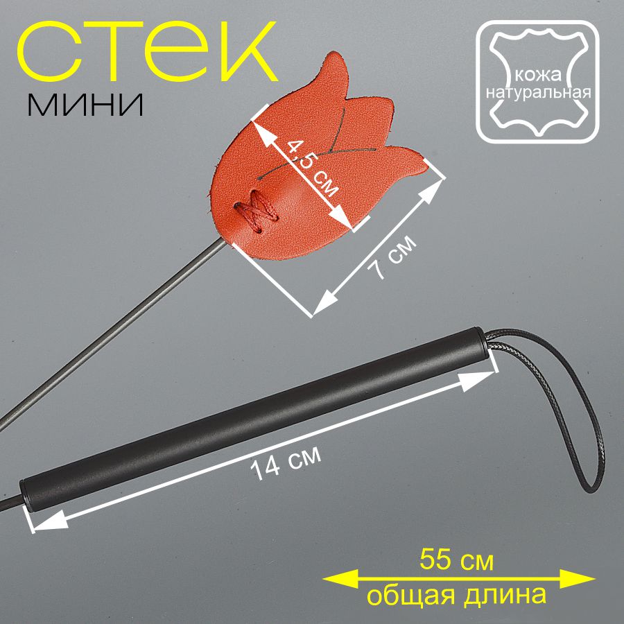Стек Тюльпан, красный