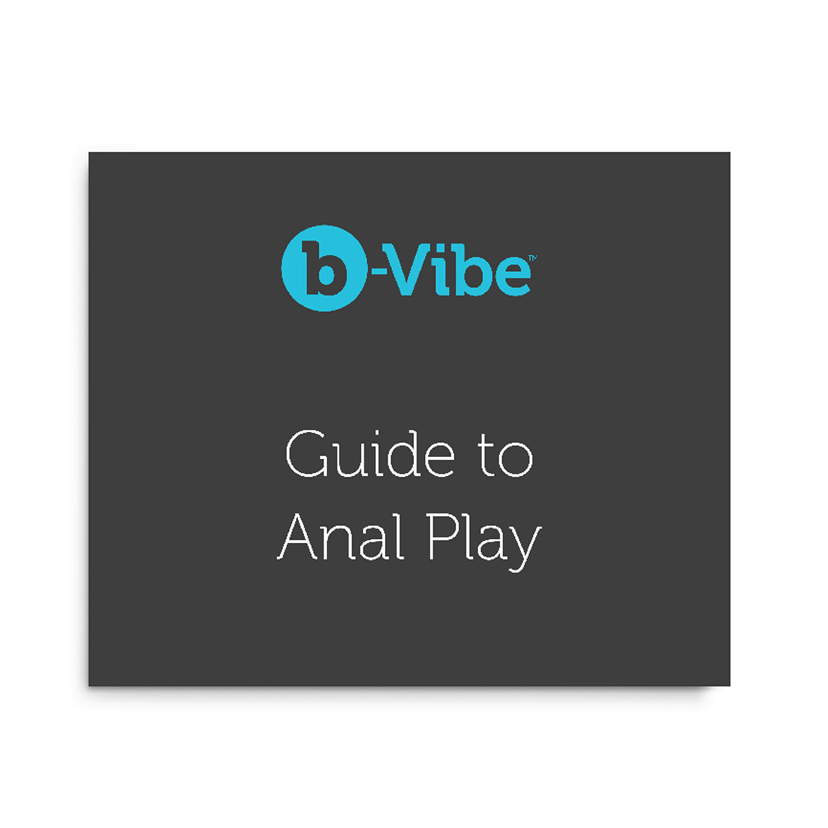 b-Vibe Большая вибрирующая премиум пробка Rimming Plug XL