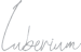 Luberium